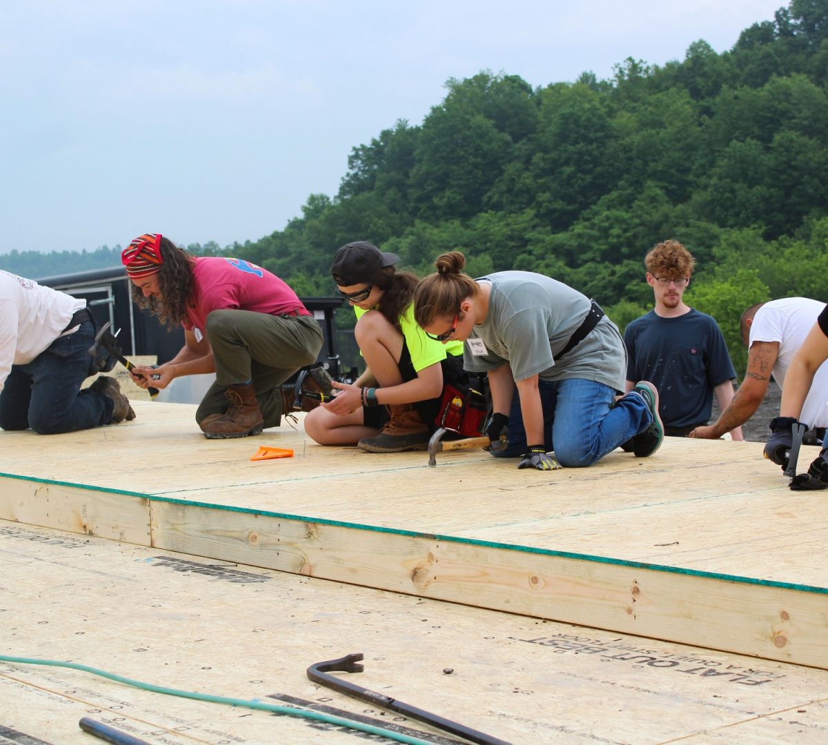 A group of people in a row are hammering into lumber. There are mountains and trees behind them.